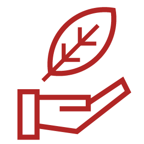 Environmental Betterment